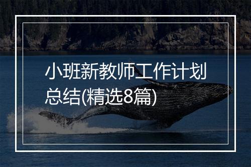 小班新教师工作计划总结(精选8篇)