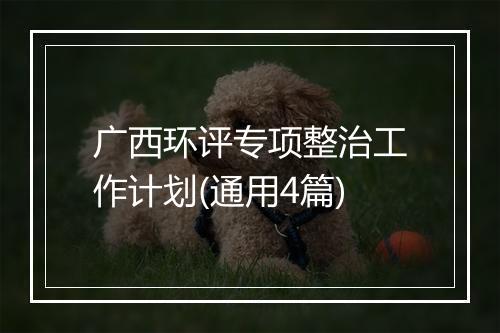广西环评专项整治工作计划(通用4篇)