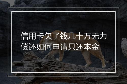 信用卡欠了钱几十万无力偿还如何申请只还本金