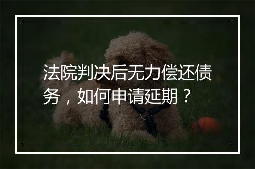 法院判决后无力偿还债务，如何申请延期？