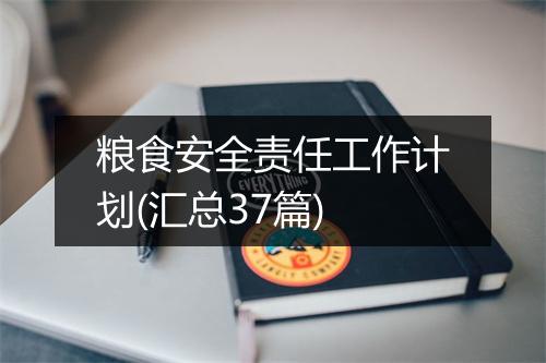 粮食安全责任工作计划(汇总37篇)