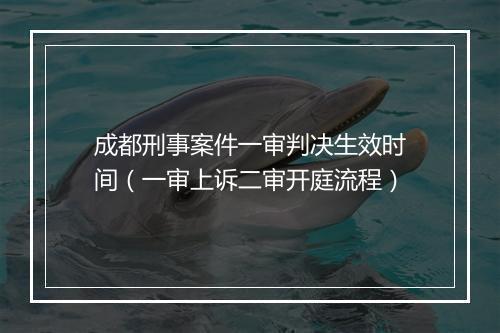 成都刑事案件一审判决生效时间（一审上诉二审开庭流程）