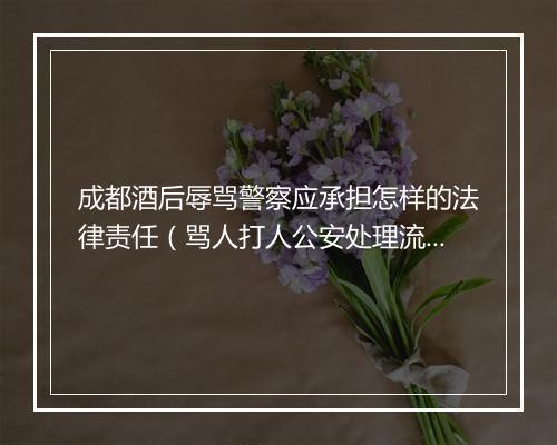 成都酒后辱骂警察应承担怎样的法律责任（骂人打人公安处理流程）