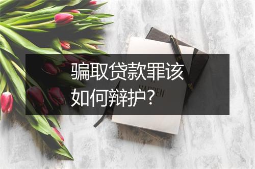 骗取贷款罪该如何辩护?