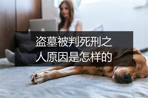 盗墓被判死刑之人原因是怎样的