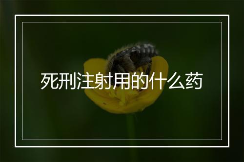 死刑注射用的什么药