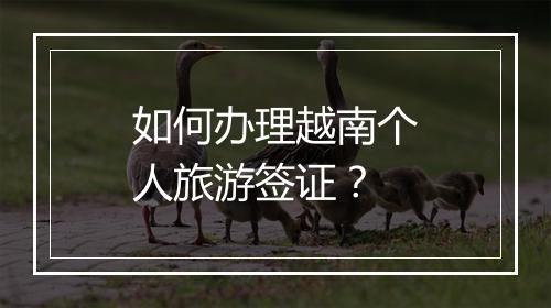 如何办理越南个人旅游签证？
