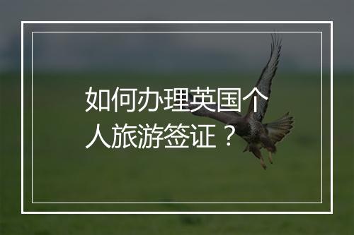 如何办理英国个人旅游签证？