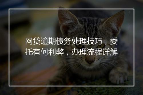 网贷逾期债务处理技巧，委托有何利弊，办理流程详解