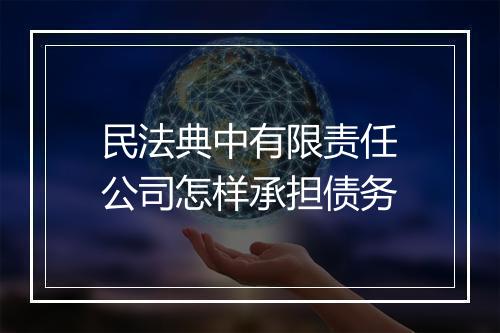 民法典中有限责任公司怎样承担债务