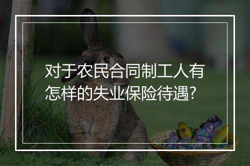 对于农民合同制工人有怎样的失业保险待遇?