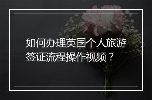 如何办理英国个人旅游签证流程操作视频？
