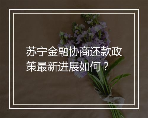 苏宁金融协商还款政策最新进展如何？