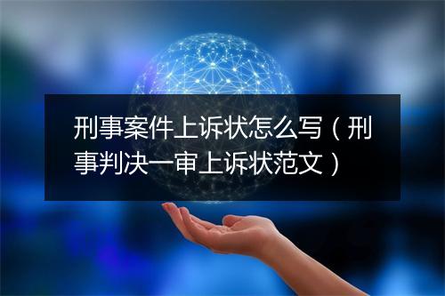 刑事案件上诉状怎么写（刑事判决一审上诉状范文）