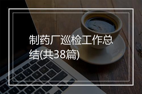制药厂巡检工作总结(共38篇)