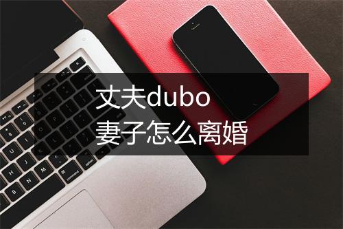 丈夫dubo妻子怎么离婚