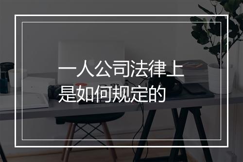 一人公司法律上是如何规定的