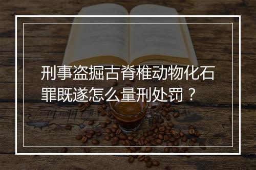 刑事盗掘古脊椎动物化石罪既遂怎么量刑处罚？