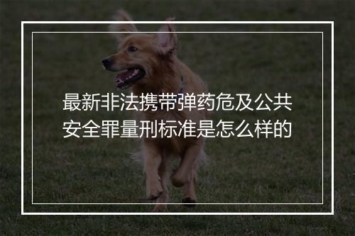 最新非法携带弹药危及公共安全罪量刑标准是怎么样的