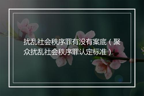 扰乱社会秩序罪有没有案底（聚众扰乱社会秩序罪认定标准）