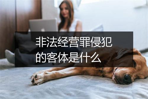 非法经营罪侵犯的客体是什么