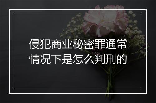 侵犯商业秘密罪通常情况下是怎么判刑的