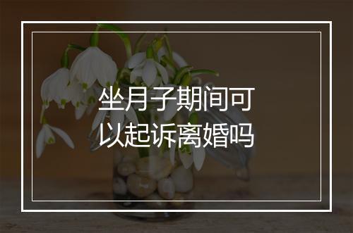 坐月子期间可以起诉离婚吗