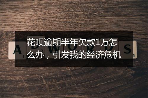 花呗逾期半年欠款1万怎么办，引发我的经济危机