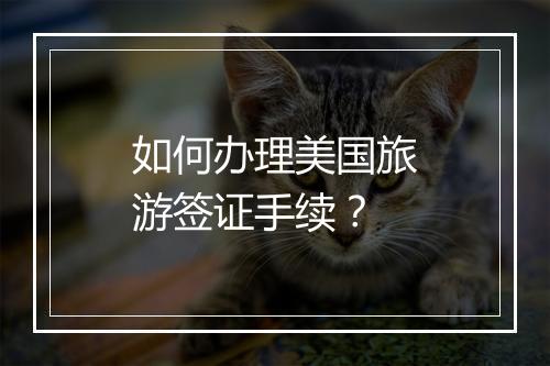 如何办理美国旅游签证手续？