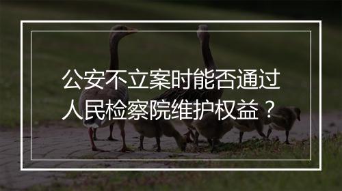 公安不立案时能否通过人民检察院维护权益？