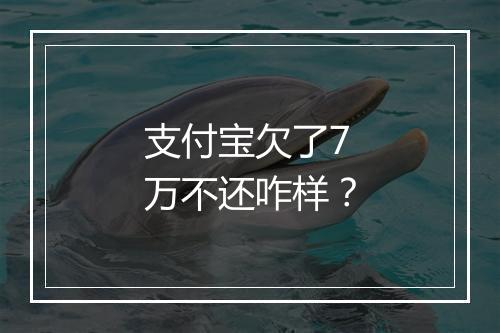 支付宝欠了7万不还咋样？