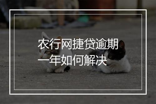 农行网捷贷逾期一年如何解决