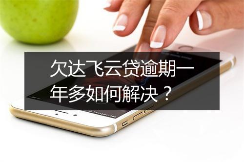 欠达飞云贷逾期一年多如何解决？