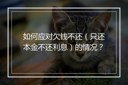 如何应对欠钱不还（只还本金不还利息）的情况？