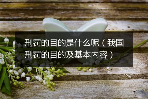 刑罚的目的是什么呢（我国刑罚的目的及基本内容）