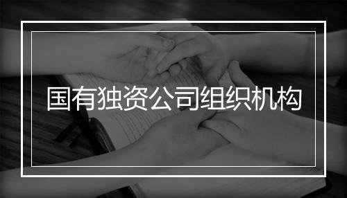 国有独资公司组织机构