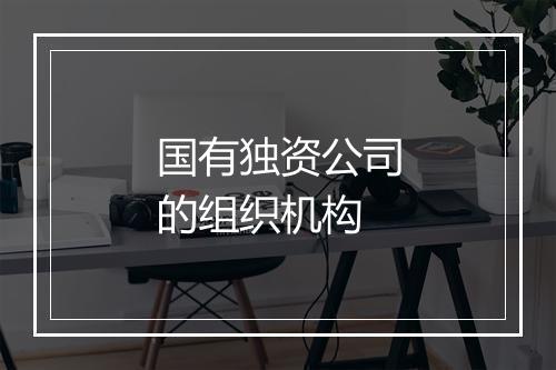 国有独资公司的组织机构