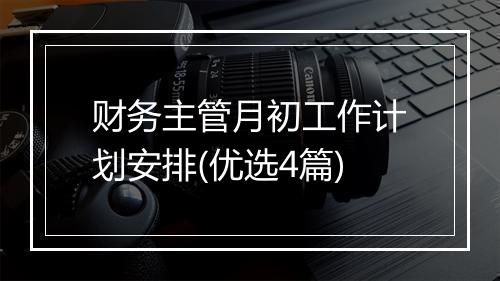 财务主管月初工作计划安排(优选4篇)