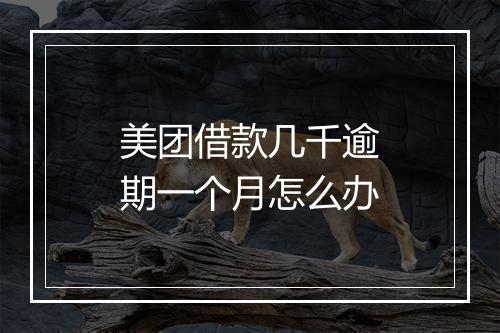 美团借款几千逾期一个月怎么办