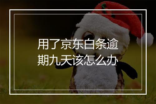 用了京东白条逾期九天该怎么办