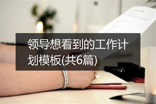 领导想看到的工作计划模板(共6篇)