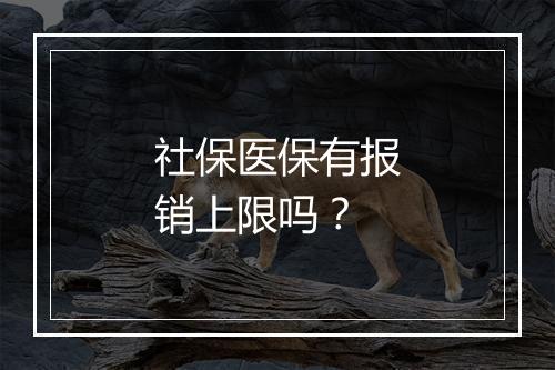社保医保有报销上限吗？