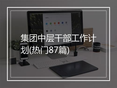 集团中层干部工作计划(热门87篇)