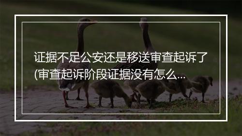 证据不足公安还是移送审查起诉了(审查起诉阶段证据没有怎么办)