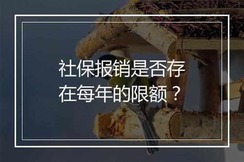 社保报销是否存在每年的限额？