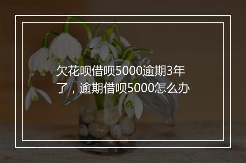 欠花呗借呗5000逾期3年了，逾期借呗5000怎么办