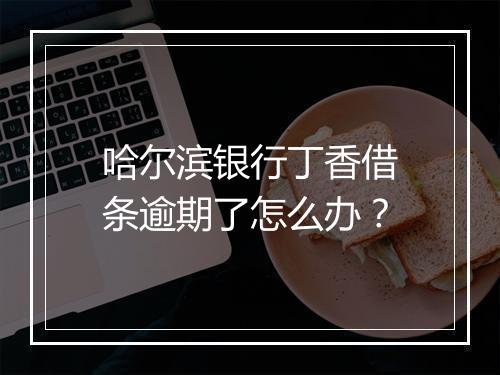 哈尔滨银行丁香借条逾期了怎么办？