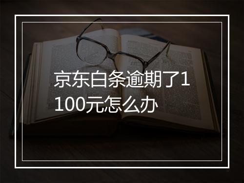 京东白条逾期了1100元怎么办