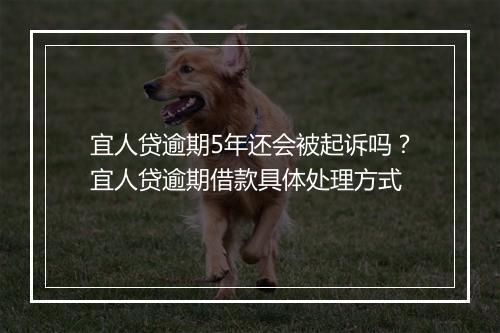 宜人贷逾期5年还会被起诉吗？宜人贷逾期借款具体处理方式