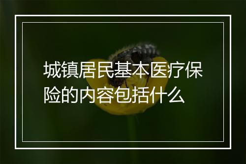 城镇居民基本医疗保险的内容包括什么